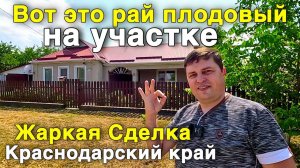 Здесь хочется остаться :  дом , тишина и свой фруктовый сад .