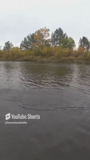 РЫБАЛКА НА ЛЕНКА!