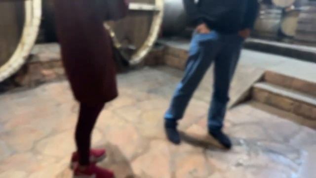 Путешествие по  Армении. Арени. Как выдерживается вино и коньяк. Дегустация гранатового вина