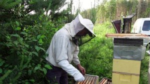 последовательность сборки гнезда в шести рамочном улье на 145 рамку