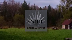 Пение птиц и колокольный звон в окрестностях монастыря