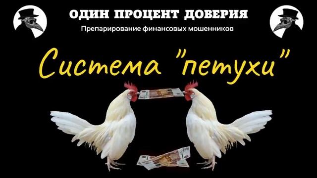 Система  петухи