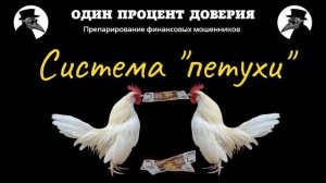 Система  петухи
