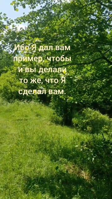 Евангелие от Иоанна глава 13 стих 13-17 смотреть онлайн