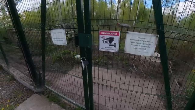 Новости из Мансуркиного царства New's from Mansur's Kingdom смотреть онлайн