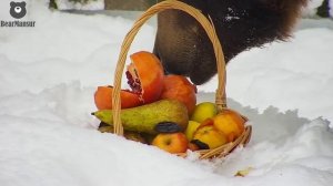 Праздничные угощения