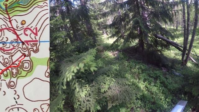 07 06 25, Стеклянный, тренировка, нитка, Ярослав, headcam orienteering