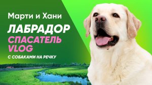 С СОБАКАМИ НА РЕЧКУ / ВЛОГ / ЛАБРАДОР СПАСАТЕЛЬ / ПЛАВАЮ НА СОБАКЕ, ВМЕСТО КРУГА / ВОРОНЕЖСКАЯ ОБЛ