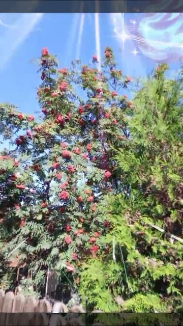 позитивчик смотреть онлайн