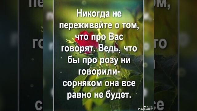 Цените и берегите друг друга! смотреть онлайн