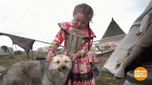 Мой дом - тундра. Доброе утро. Фрагмент выпуска от 24.06.2025