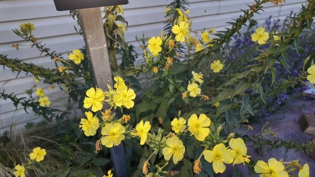 замедленная сьемка смотреть онлайн