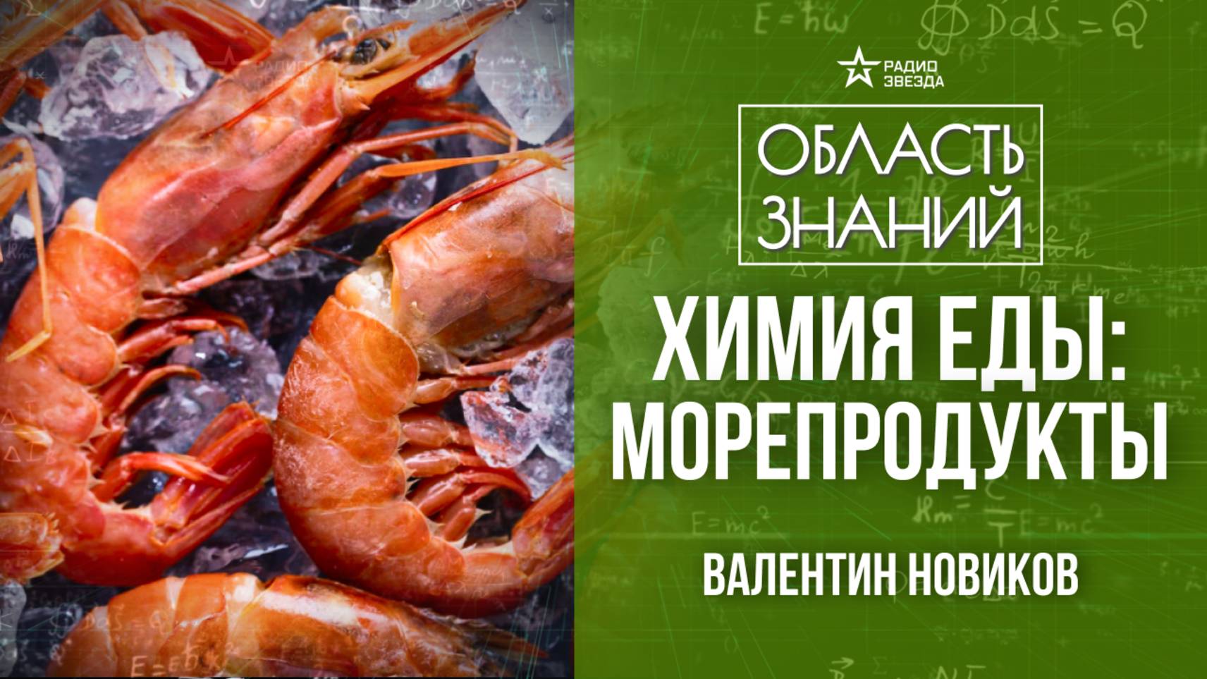 Устрицы, мидии и осьминоги. Как выбирать и готовить морских гадов? Лекция химика Валентина Новикова смотреть онлайн