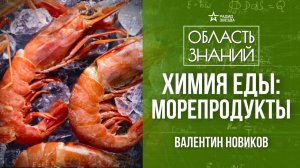 Устрицы, мидии и осьминоги. Как выбирать и готовить морских гадов? Лекция химика Валентина Новикова