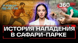 Нападение льва на Олега Зубкова: причины и последствия трагедии