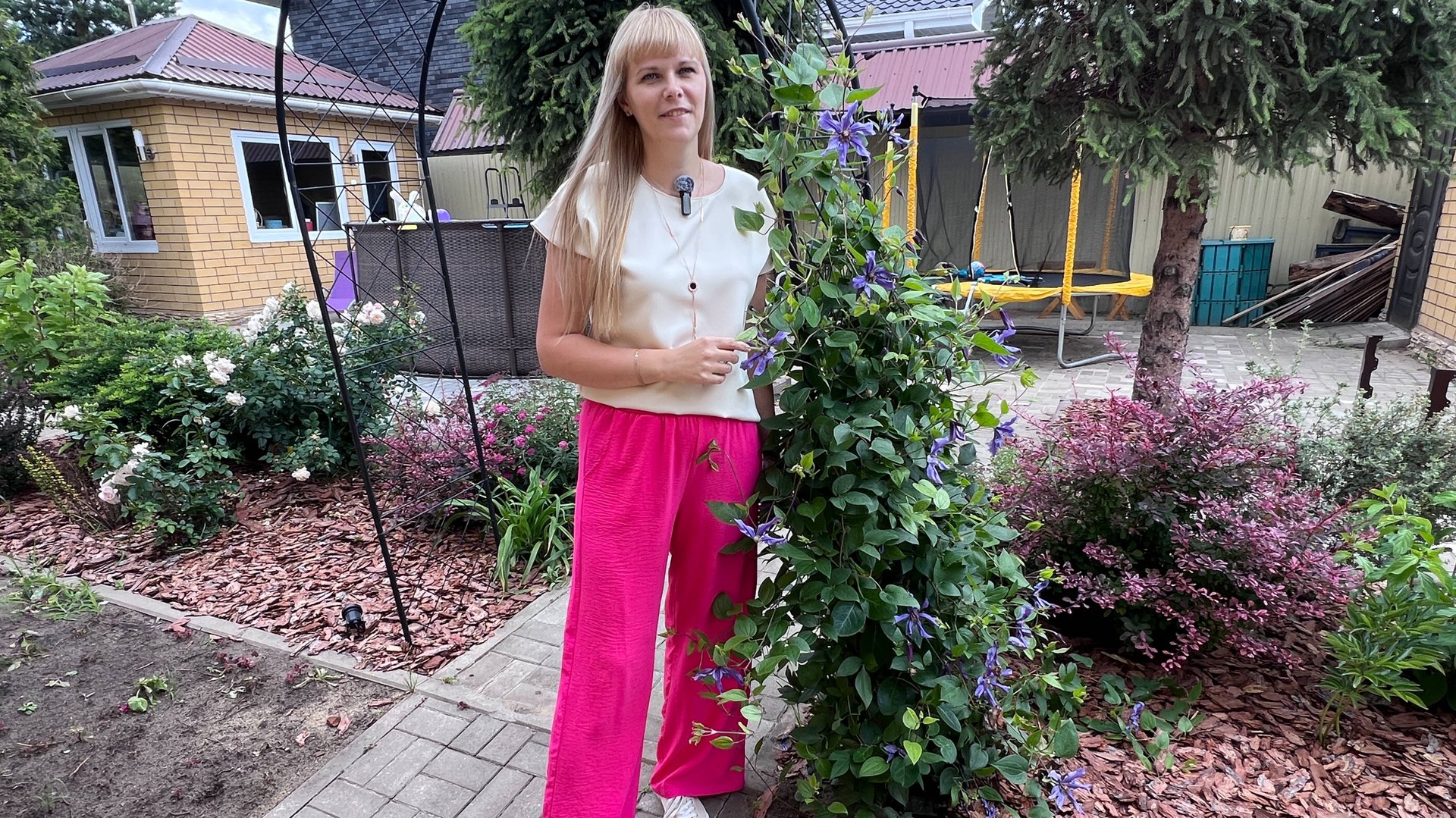 Клематис - посадка, уход и виды обрезки. смотреть онлайн