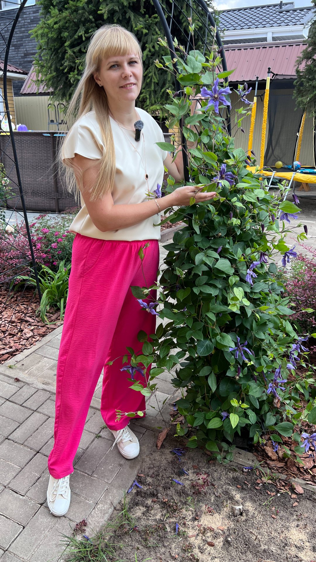 Клематис - основные правила успешной посадки смотреть онлайн