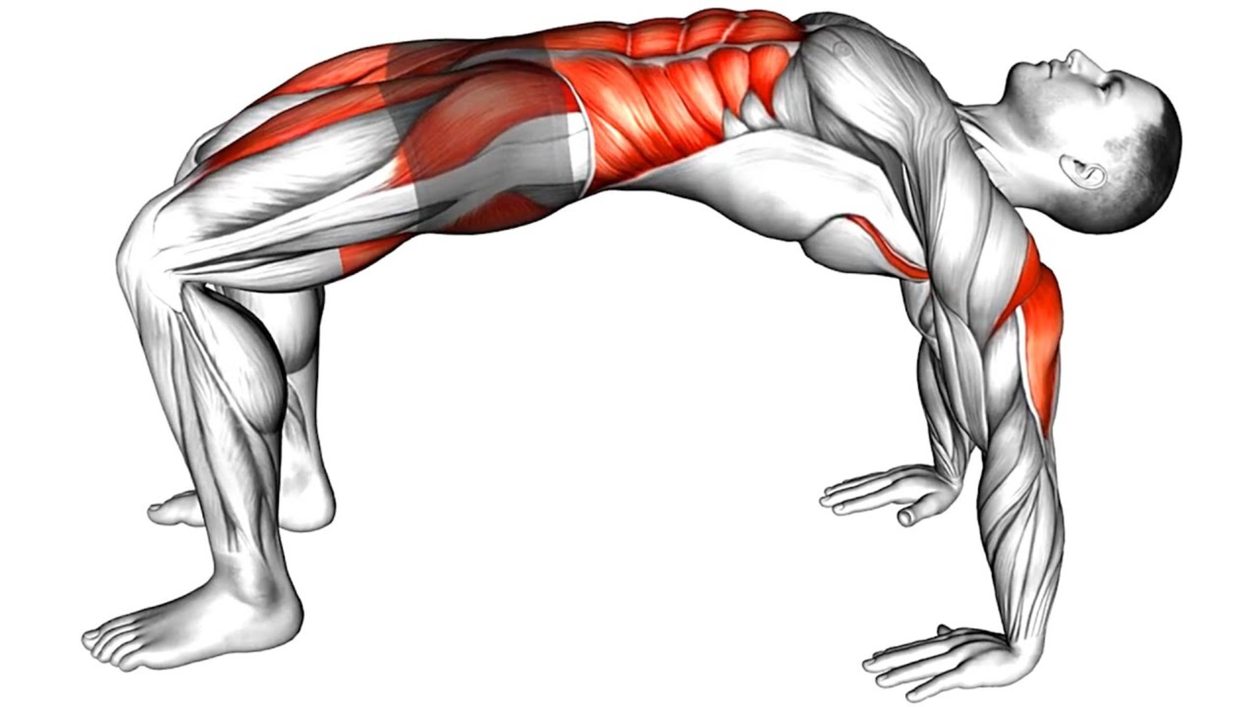 Лучшие упражнения для мужчин старше 40 лет смотреть онлайн