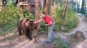 Медведь Мансур и ПАПАрацци