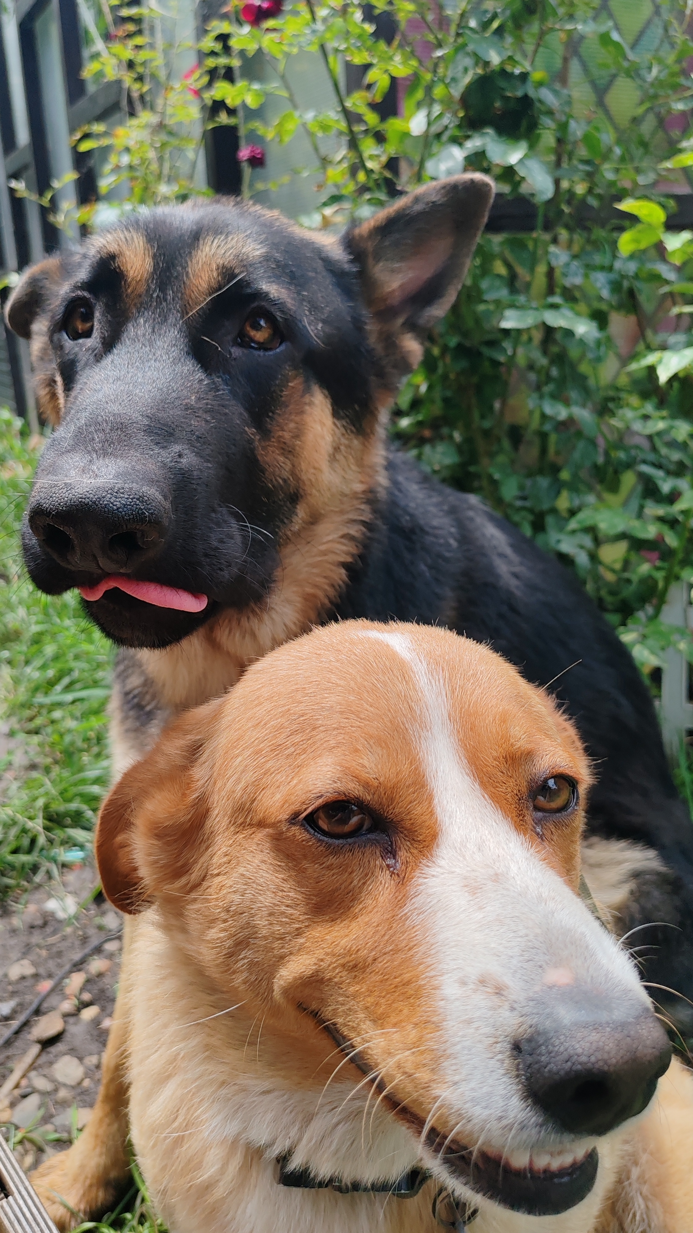 Мои нарушители личных границ 🤗 смотреть онлайн