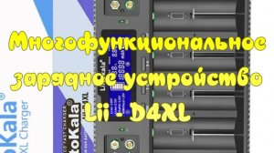 Умное зарядное устройство Lii-D4XL