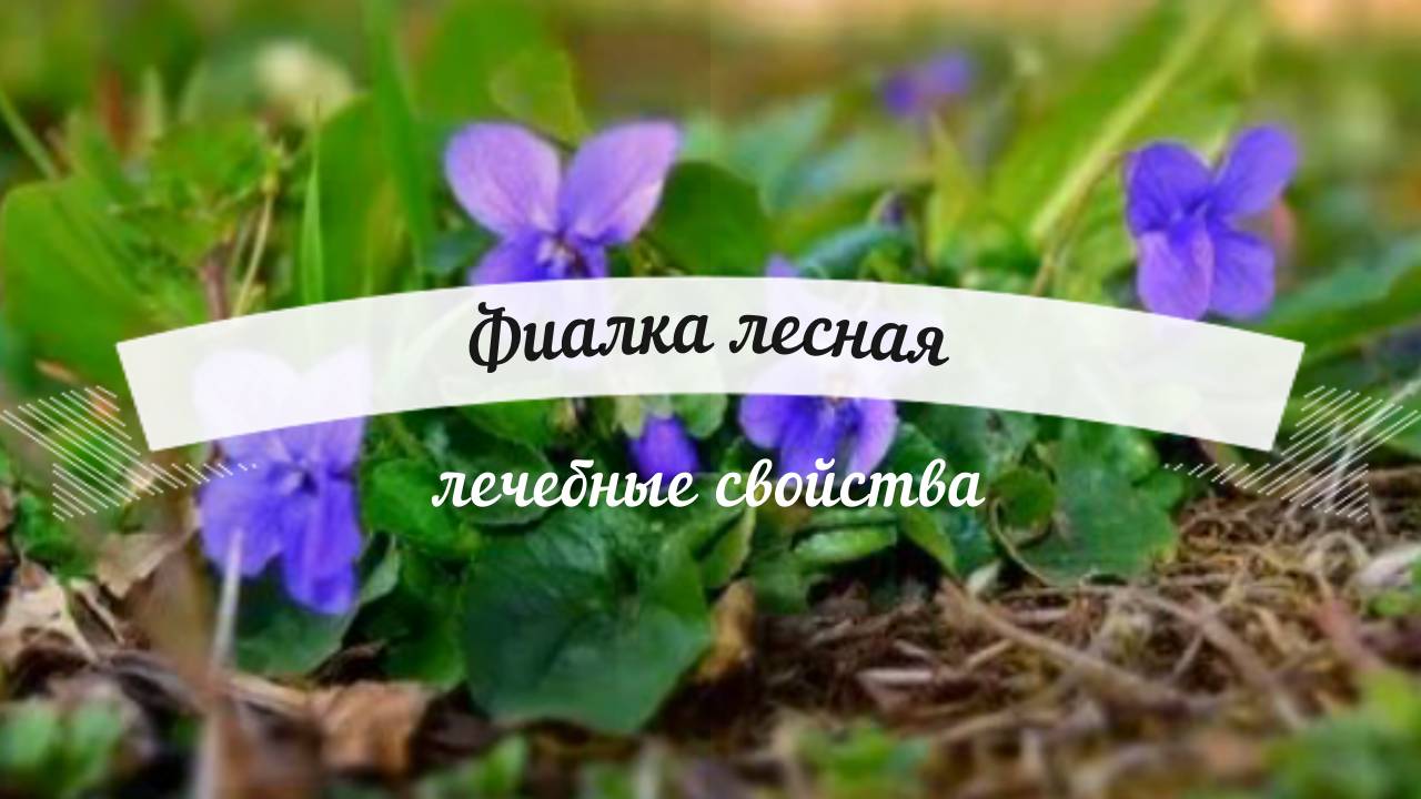 Рецепты природы