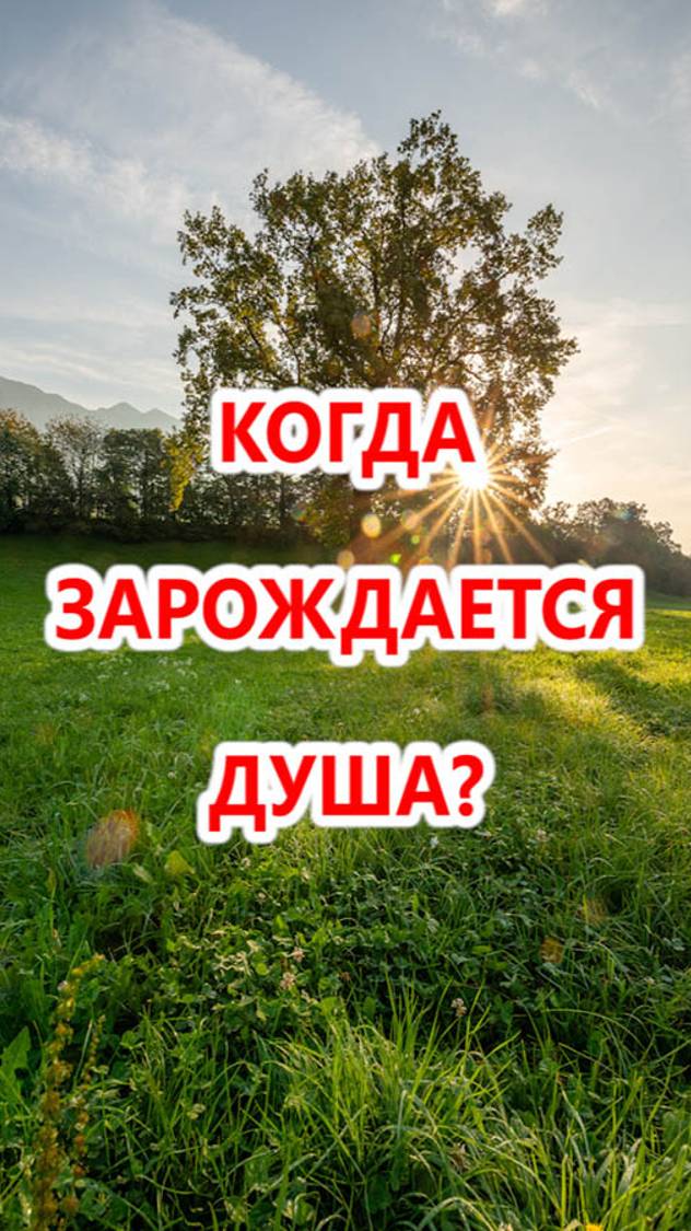 Когда зарождается душа? смотреть онлайн