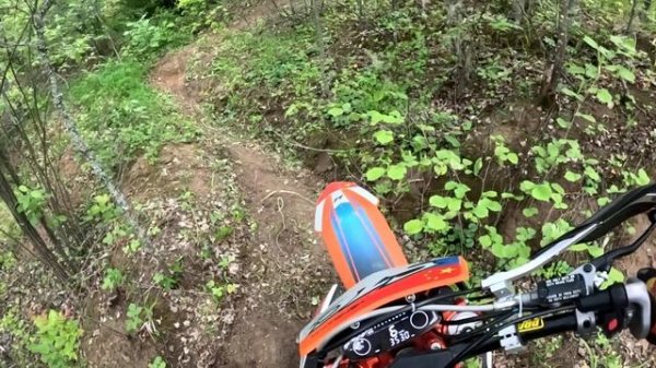 Вечерний трек