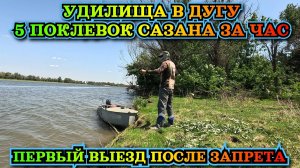 Бешенный клев САЗАНА на яме 14 метров. Обидные СХОДЫ. Рыбалка в Астрахани.  Поиски рыбы эхолотом