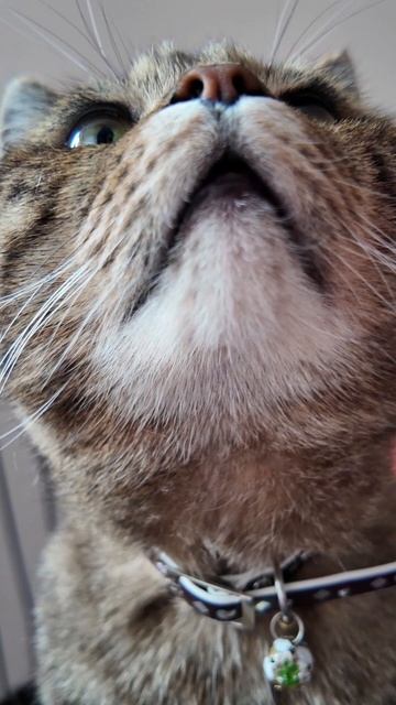 ОБЗОР НА «RED Colorcook G500»