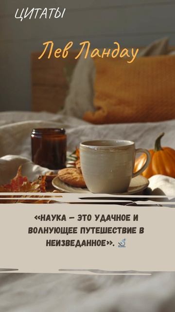 Цитаты 2.772 смотреть онлайн