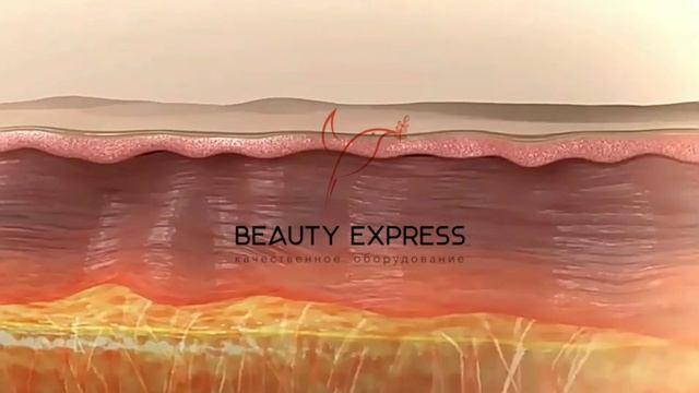 Аппарат фракционного микроигольчатого RF лифтинга MR 8 PRO (3 манипулы) смотреть онлайн