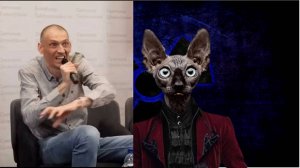 Цирк должен гастролировать / Кот Костян