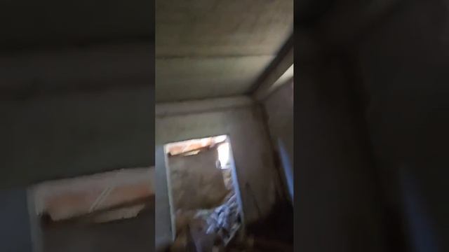 79071 смотреть онлайн