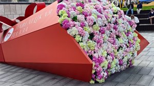 НЕОБЫКНОВЕННАЯ КРАСОТА.
ВОЗЛЕ ПАВЕЛЕЦКОГО ВОКЗАЛА.