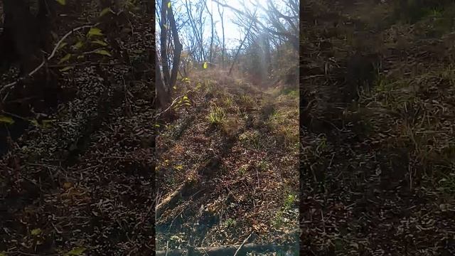 Может быть, нам туда?