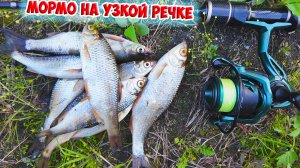 Мормышинг по бели на речушке! Mifine Nano Jig Zero и Dayo Limerence.