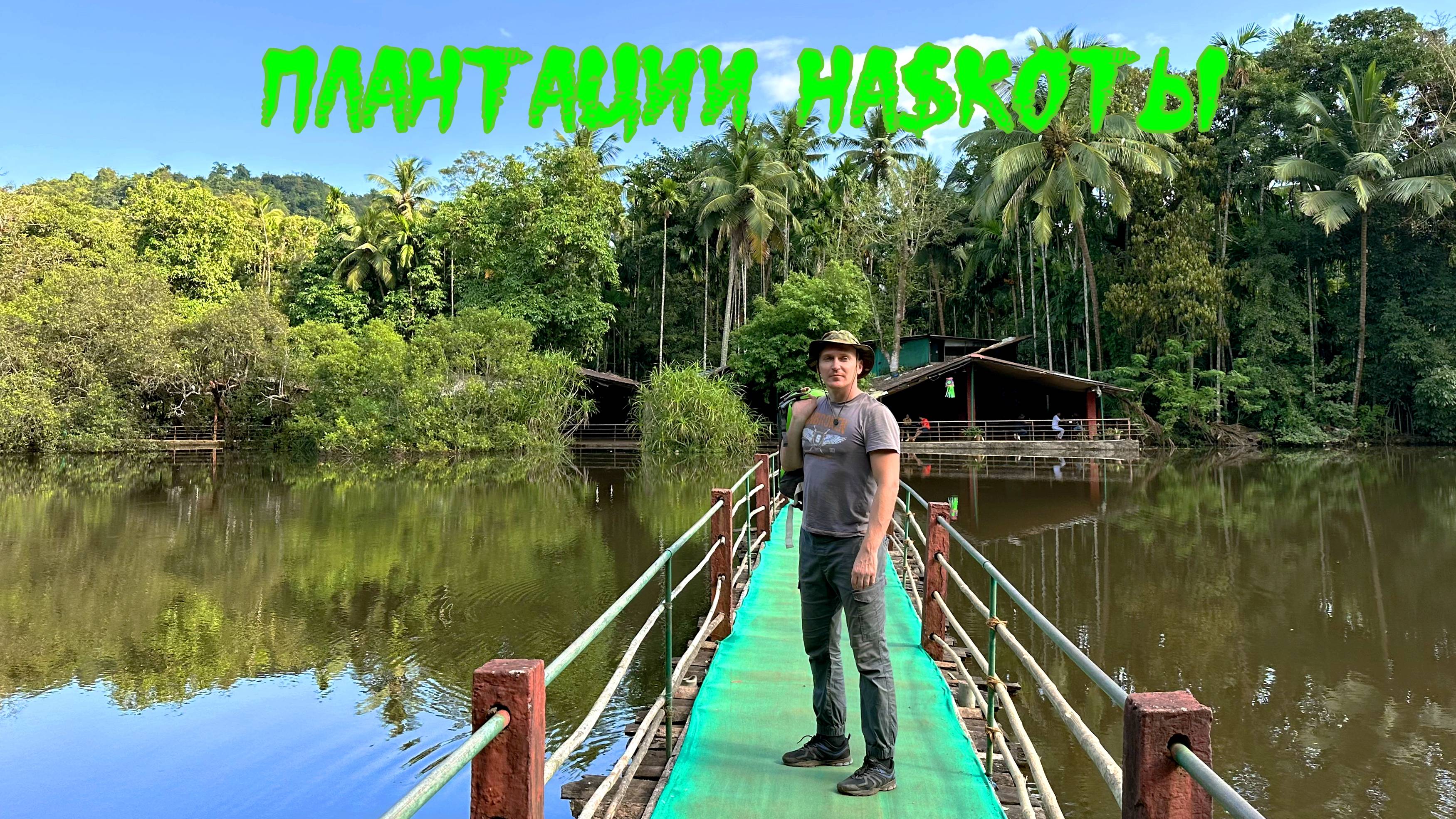 Плантации на$котиков в Индии