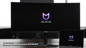 Монитор IRBIS NobleView INV38UIDR