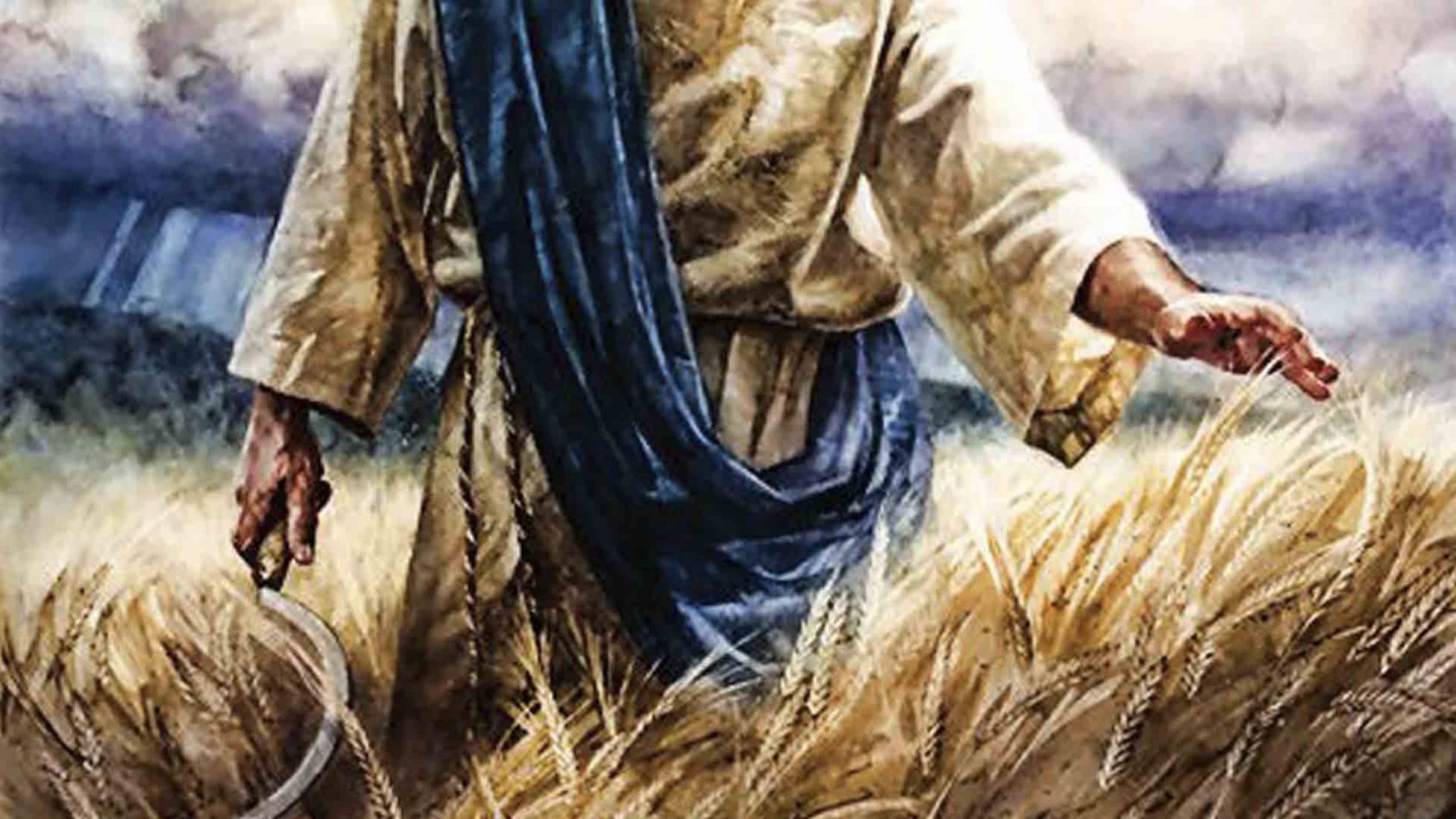 27. Книга Иоанна Богослова гл.14:13-20. Толкование на Апокалипсис. Читает Голубева Екатерина. смотреть онлайн