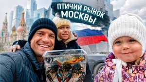 Прогулку по Весенней Москве. Птичий рынок, Старый Арбат, Патрики, Лужники