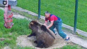 Мансур, просыпайся, тебя бассейн заждался