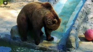 Вот такое ча-ча-ча под звуки журчащей водички