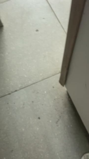 15 ПМ 3 смотреть онлайн