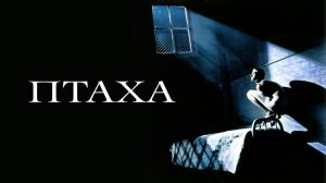 Птаха | Birdy (1984)