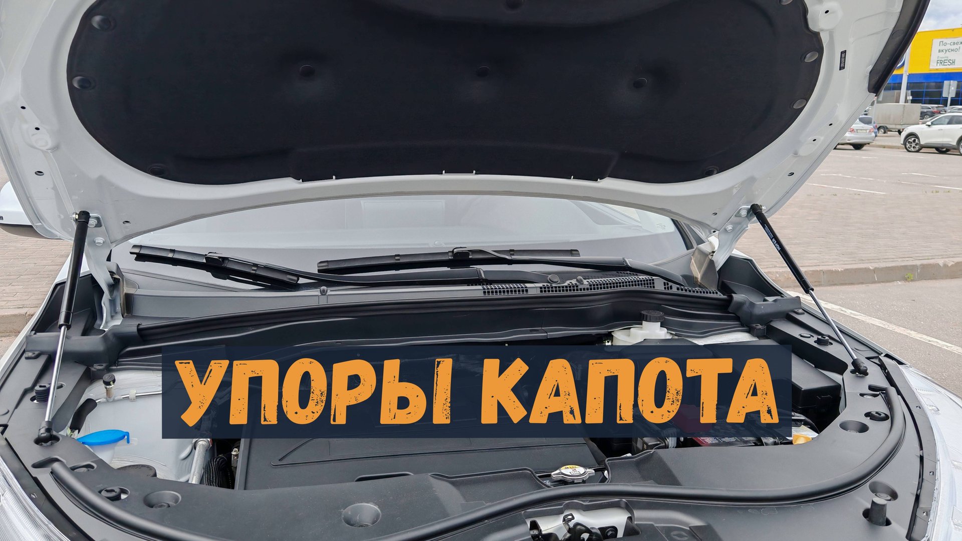 УСТАНОВКА ГАЗОВЫХ УПОРОВ КАПОТА НА HAVAL M6 смотреть онлайн