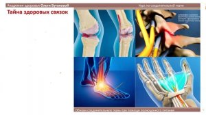 Zoom Соединительная ткань. 23.06.2025