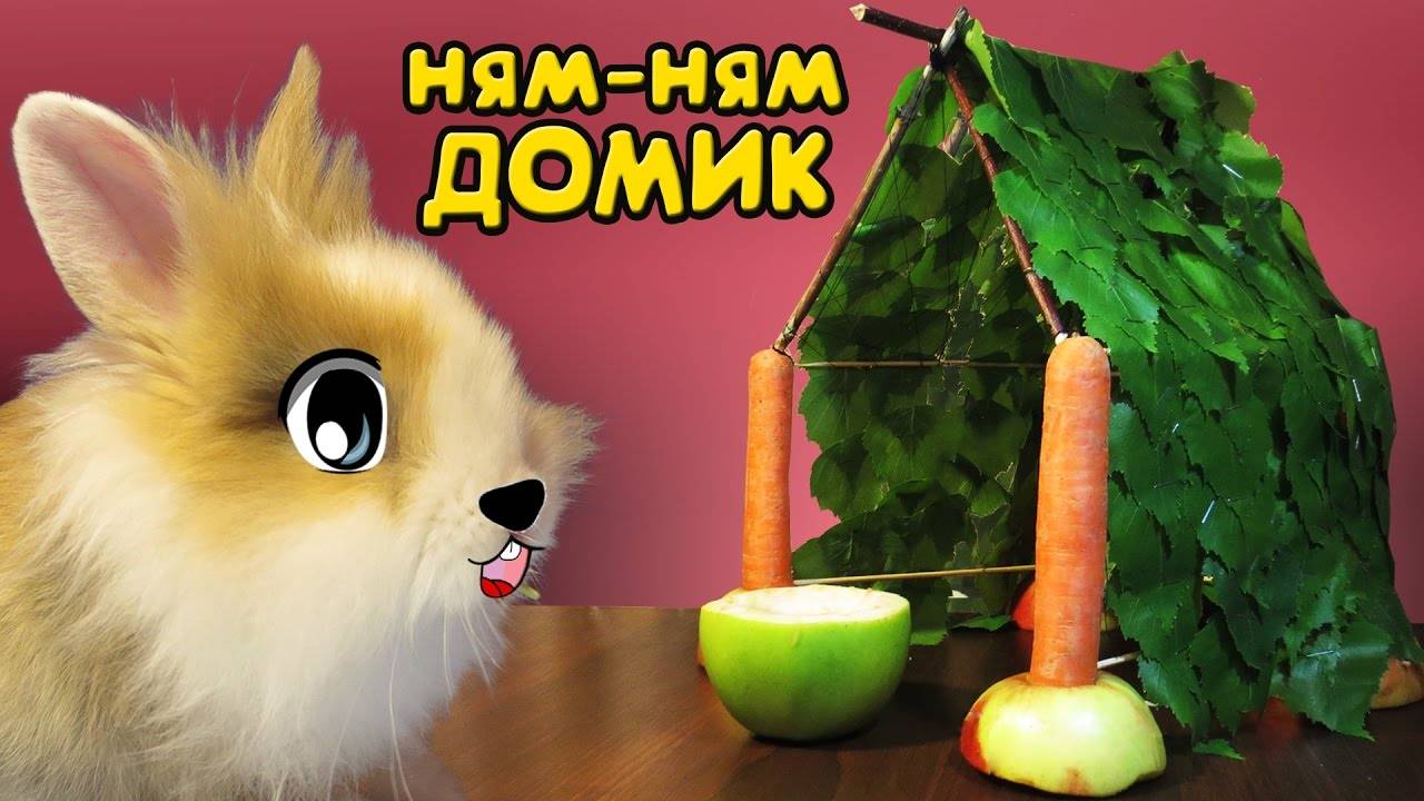 ДОМ ДЛЯ КРОЛИКА своими руками! 🥕 смотреть онлайн