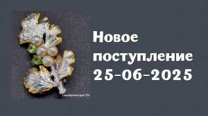 Новое поступление 25-06-2025