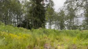 В продаже участок 30 соток в коттеджном поселке Сосновый пляж !! 
Первая линия !!!